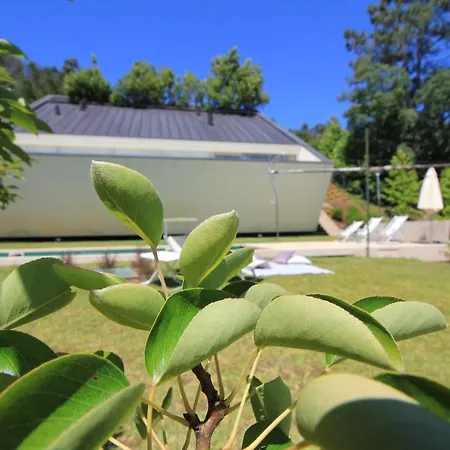 Slope Design - Architecture With Private Pool *