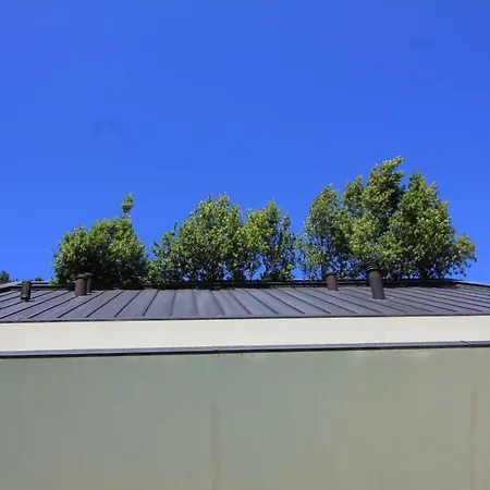 Slope Design - Architecture With Private Pool Понте-де-Лима