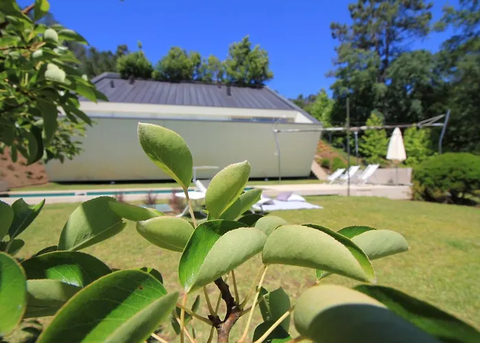 Slope Design - Architecture With Private Pool *